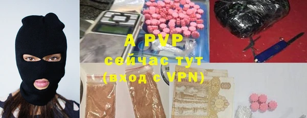 гашик Абаза